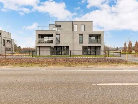 appartement à louer à herselt € 1.050 (loj9n) - heylen vastgoed - herentals | zimmo