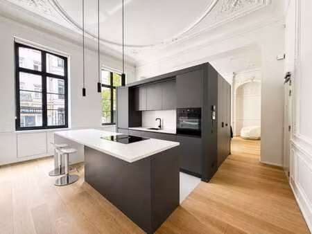 magnifique duplex meublé dans un hôtel de maître