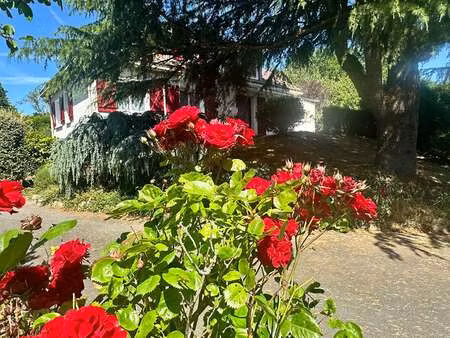 vente maison piscine à dompierre-sur-yon (85170) : à vendre piscine / 153m² dompierre-sur-