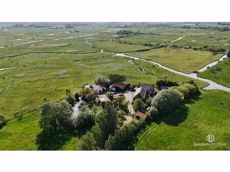 vente maison à sallertaine (85300) : à vendre / 173m² sallertaine