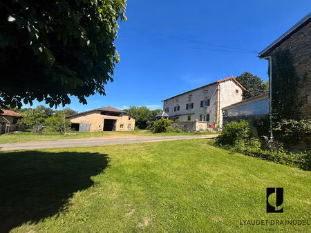 tènement à fort potentiel-proximité charlieu-13 pièce(s) 300 m2