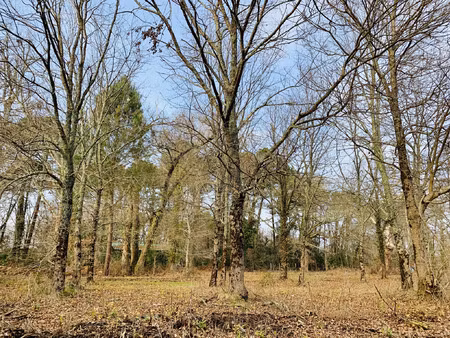 vente terrain 790 m² lège (33950)