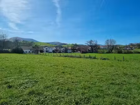 vente terrain à batir 538 m² à armendarits (64640)  nan €