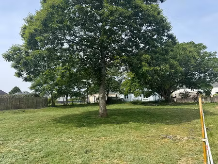 vente terrain 441 m² à pluvigner (56330)  97 244 €