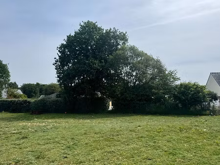 vente terrain 445 m² à pluvigner (56330)  98 060 €