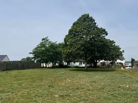 vente terrain 491 m² à pluvigner (56330)  105 980 €
