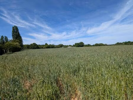 terrain constructible à vendre