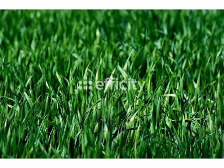 vente terrain 500 m² à mieussy (74440)  110 000 €