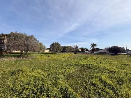 vente terrain 558 m² à roquebrune-sur-argens (83520)  259 000 €