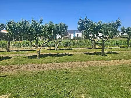 vente terrain 1469 m² à chateau-d'olonne (85180)  585 200 €