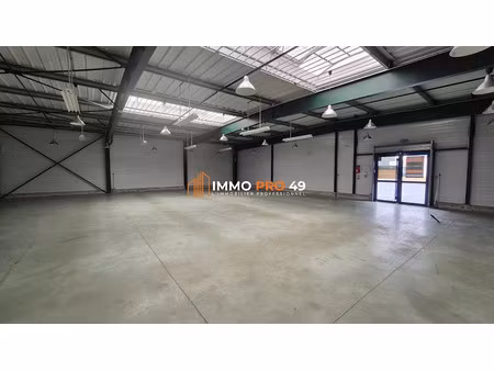 vente locaux professionnels 0 pièces 290 m² à montaigu-vendée (85600)  326 960 €