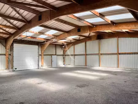 vente locaux professionnels 0 pièces 221 m² à segré-en-anjou bleu (49500)  149 020 €