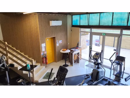 vente locaux professionnels 290 m² à bessines-sur-gartempe (87250)  132 440 €