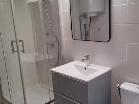 location meublée appartement 1 pièce 21 m² à graulhet (81300)  420 €