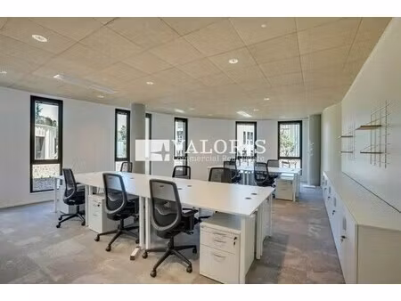 location coworking limonest 69760 21m² à 9156m²