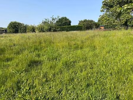 vente terrain à lantic (22410) : à vendre / 1148m² lantic