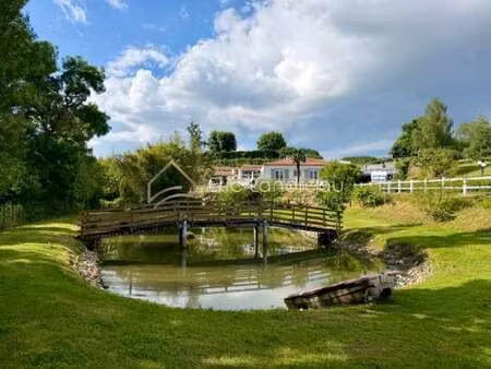 vente maison piscine à talmont-saint-hilaire (85440) : à vendre piscine / 136m² talmont-sa