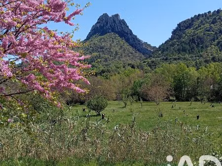 en vente terrain non constructible 11 771 m² – 670 000 € |buis-les-baronnies