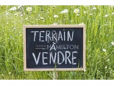 terrain constructible