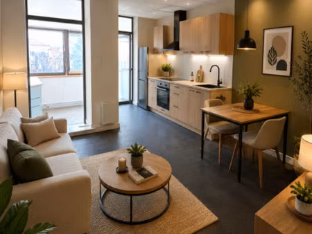 appartement macon 53 m2