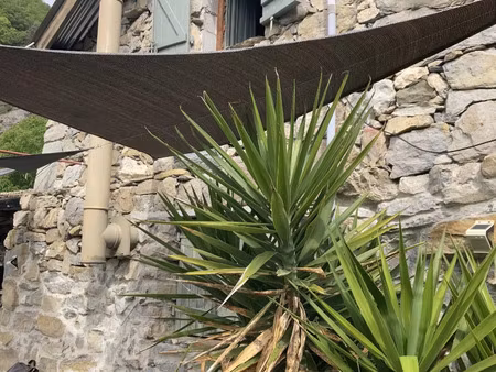 vente maison 3 pièces 65 m² ilonse (06420)