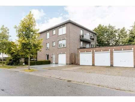 appartement te huur in edegem met 2 slaapkamers