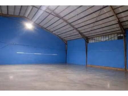 vente local d’activités toulouse 31300 254m²