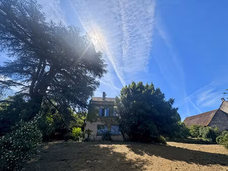 vente maison 9 pièces  390.00m²  grézels