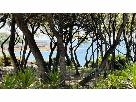 vente maison vaux-sur-mer (17640) - - surface privée