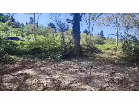 terres landes frîches
