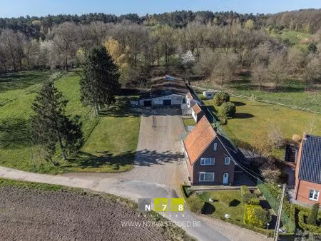 huis te koop in maaseik met 5 slaapkamers