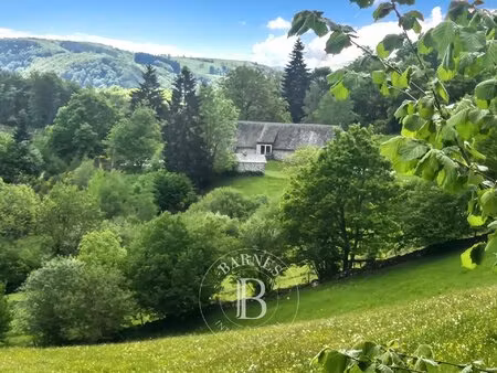 le luxe des grands espaces — ancienne ferme auvergnate rénovée  clé en main  avec gîte ...