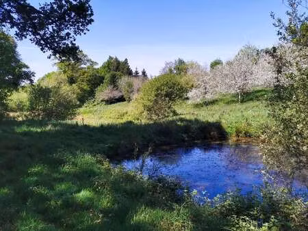 vente terrain à poullaouen (29246) : à vendre / poullaouen