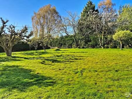 baisy-thy - maison de plain-pied 4ch de 180 m² sur ± 21 ares