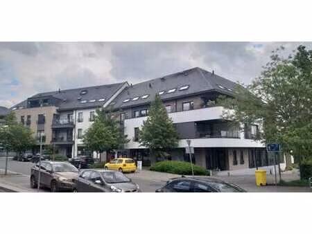 appartement 2 chambres  grande terrasse  lumineux