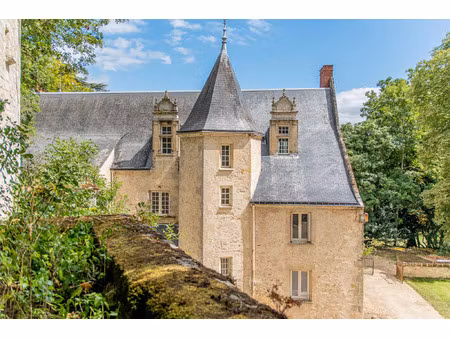 -domaine sur 9h5 clos- magnifique manoir - gîte - maison de gardien - appartement - piscin