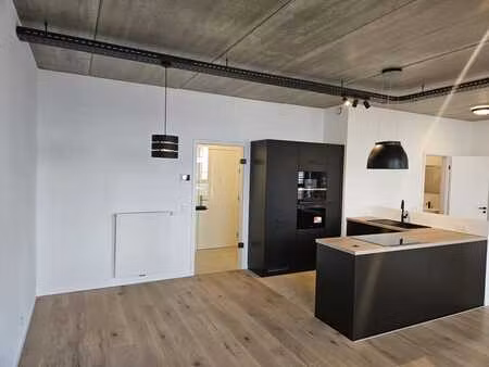 appartement style loft 1 chambre