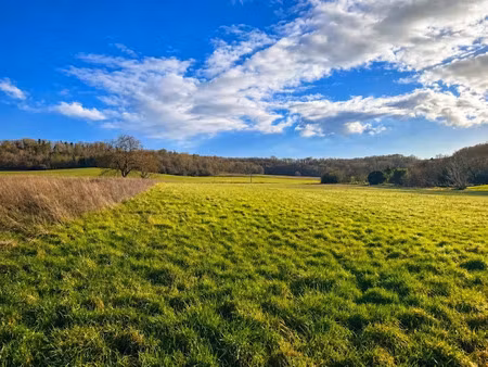 vente terrain 1499 m² à champagne-et-fontaine (24320)  18 000 €