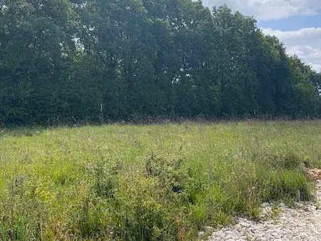 vente terrain 1201 m² à celle-lévescault (86600)  52 844 €
