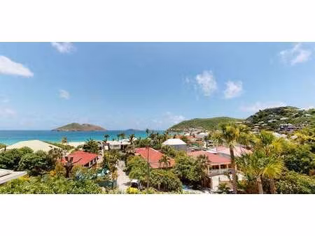 appartement saint-barthélemy (971)