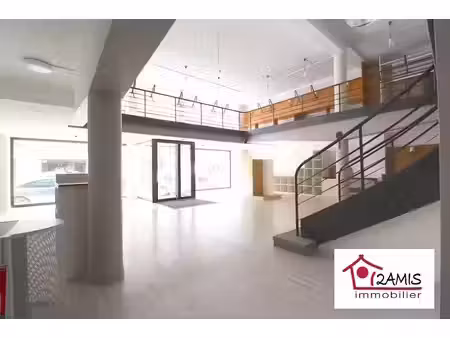 vente locaux professionnels 0 pièces 334 m² à toul (54200)  345 000 €