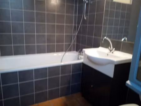 location meublée appartement 1 pièce 27 m² à mas thibert (13104)  450 €