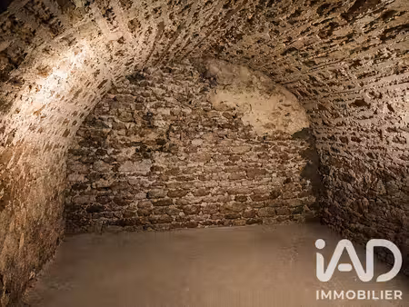 maison de campagne à le mesnil-sur-oger (51190)