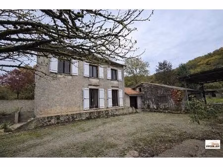 maison des années 80 avec grand terrain