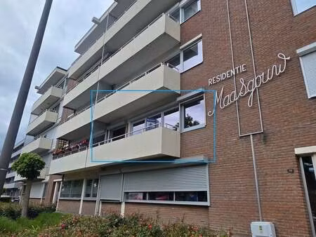 appartement à louer à maaseik € 750 (lodgk) - lisimmo | zimmo