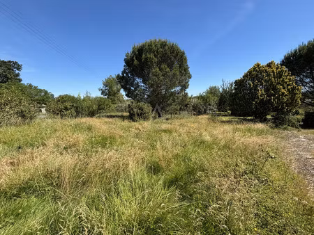 vente terrain constructible la magdelaine sur tarn  69 000€ haute-garonne midi-pyrénées n°