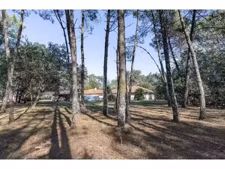 achat maison 8 pièces 300m² herm 40990