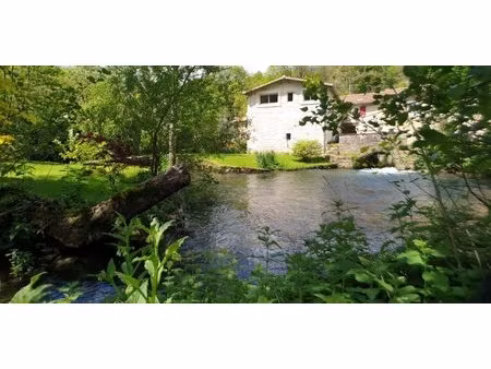 moulin de charme au fil de l'eau - propriété bucolique avec gîte + 2ème habitation -...