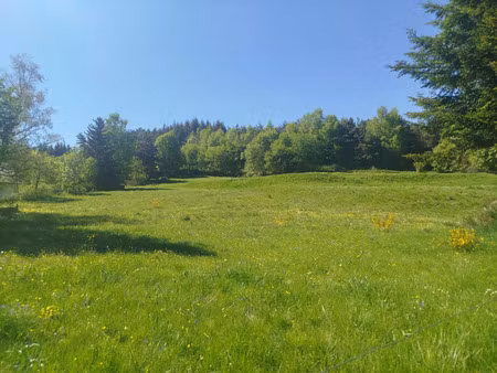 vente terrain 6438 m² chaudeyrac (48170)