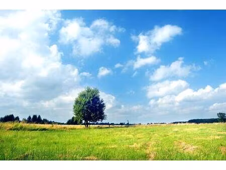 terrain constructible viabilisé à vendre